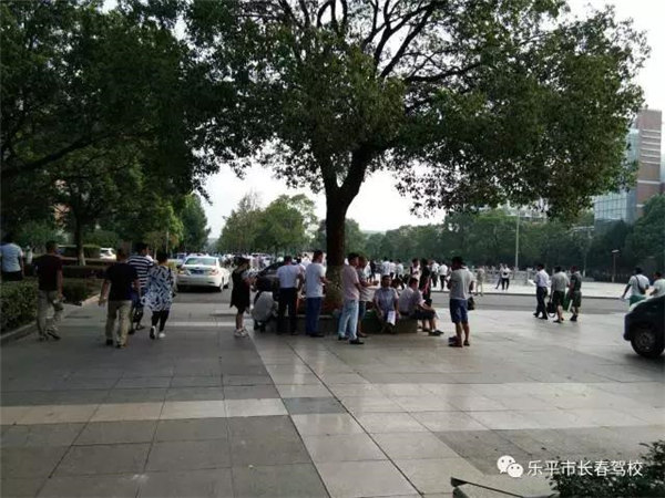 1511316617566568.jpg 11.jpg